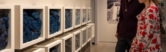 Galerii. ERMi uus näitus jutustab tekstiilivärvide loo muinasajast tänapäevani