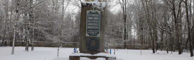 Homme tähistatakse Narvas Peetri platsil Vabadussõja relvarahu aastapäeva