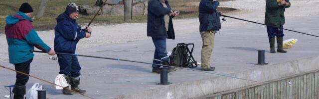 Alates 1. juulist muutuvad harrastuspüügiõiguse tasud