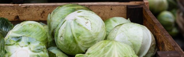 TURUKOMMENTAAR | Tahaksid talvevarud turult soetada? Kallis on!