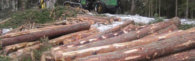 Konkurentsiraport: metsatööstust ootab ees mõõdukas taastumine