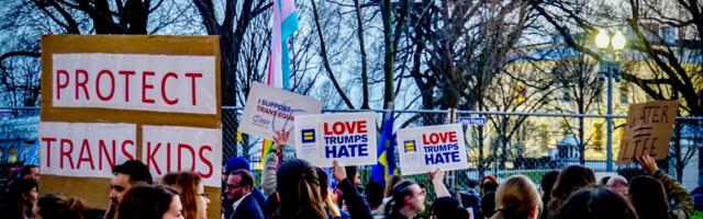 January Littlejohn: "sugu kinnitav ravi" pole mitte kunagi õigustatud