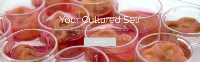 Toidukonstruktorid: inimese enda rakkudest kasvatatud praad on eetilisem kui laboriliha