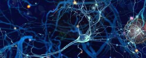 Inimkeha on kui tundmatu maailm