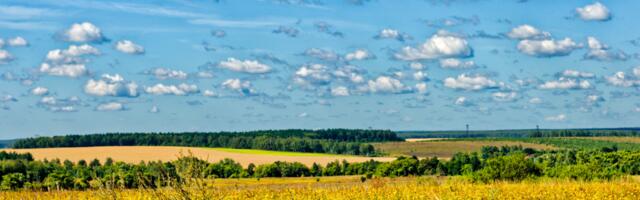 Numeroloogia : soovitused tänaseks päevaks (13. august)