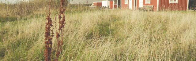 Kasulikud nipid: kuidas valmistada suvila või maakodu ette pikemaks eemalolekuks?