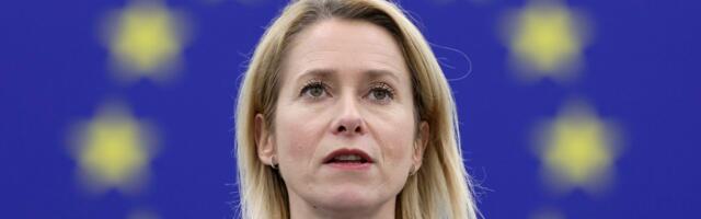 FOTO | „Püha Kaja“. Eesti galerii müüb maali, millel on Kaja Kallas kujutatud Neitsi Maarjana