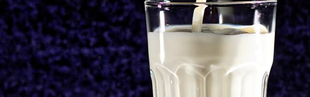 Coop juhib tähelepanu õiglasele piima hinnale