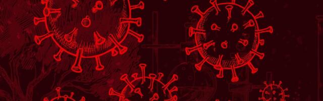 INTERVJUU | Irja Lutsar: koroonaviirus levis Wuhani elusloomaturul, kuid samal ajal võis ta liikvele minna ka laborist