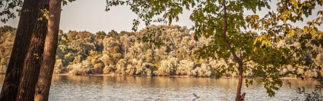 Gde za Prvi maj? 3 mesta nadomak Beograda, savršen beg za koji vam ne treba hotel, a ni mnogo para
