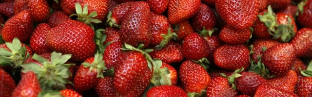 Alaealiste töölevõtmine lihtsustub