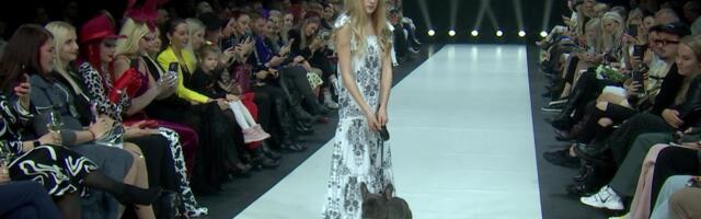 Julged kannavad sel suvel valget