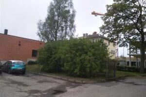 Linnasissi metsaviljelus. Huligaanne essee