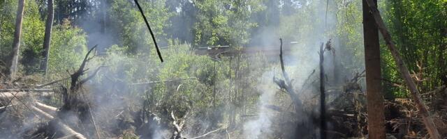 Päästjatel oli töine nädalavahetus