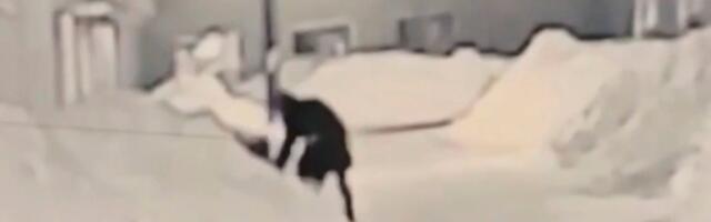 FSB teatas, et GRU kindrali mõrvakatse kahtlusalused tunnistasid süüd. Tellijaks kuulutati SBU ja osaliseks „Poola eriteenistused“