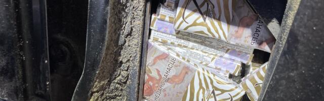 Maksu- ja Tolliameti operatiivinfo ülevaade