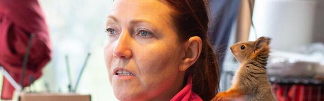 Endisest Konju kitsefarmist võib saada loomade varjupaik