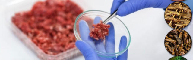 Kas sa tead, mis on toidus, mida sööd?