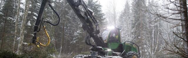Külm ilm soosib metsatöid ja säästab pinnast