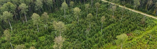 Viljandi kogukonnad astuvad sigade matmisele vastu: nõuame tööde peatamist!