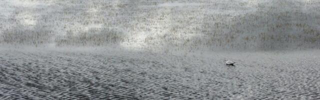 Alustas Haapsalu lahe koostöökogu