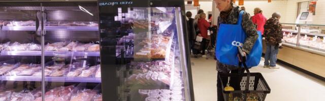 Tallinnas elavate perede sissetulekutest neelavad enam kui viiendiku kulutused toidule