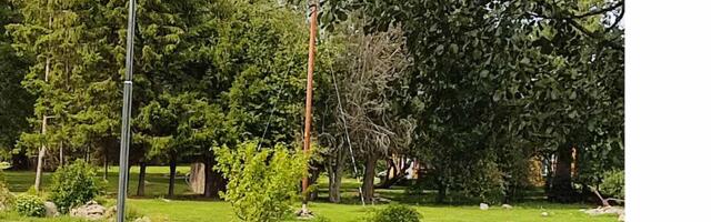 Kiiu-Aabla külas on  päikesepaneeliga valgusti