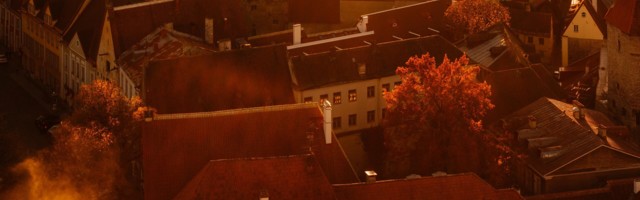 Elisabet Reinsalu: tüürides sügisesse