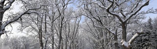 ESIMESE LUME OOTEL | Kolmapäeval on oodata valget maad