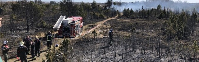 Läänemaal põles rannaäär, saunamaja hävis tules