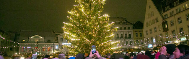 Tallinna raeplatsi kuusel süüdatakse tuled juba sel reedel, linna ilutulestikku tänavu ei toimu