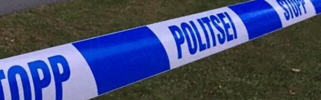 Politsei kahtlustab kolme alaealist jõhkras tapatöös