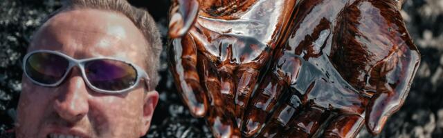 2025. aasta pankrotilugude TOP: Ukraina parlamendisaadik nõudis kirju minevikuga Eesti kütuseärimehe pankrotti