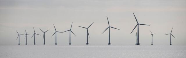 Sunly juht: energiakriisi tõsidus pole eestlastele kohale jõudnud