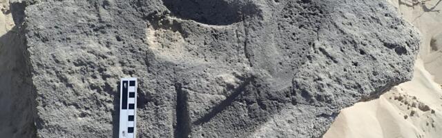 Arheoloogid leidsid inimese jalanõude vanima jälje: see on umbes 100 000 aastat vana