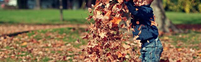 Sügisene haljastusjäätmete vedu Valga vallas