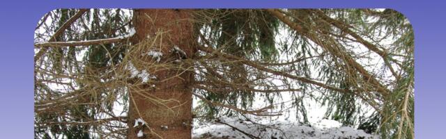 Keskkonnaamet: talveunes- või uinakus metsloom vajab rahu