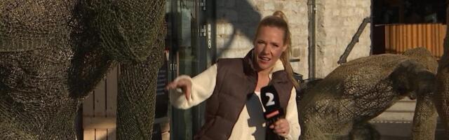 Reporter: Balti Jaama turg tähistab Halloweeni õudustekitavate ja õõvastavate kujudega