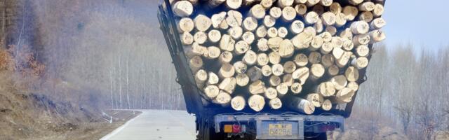 Euroopa Liidu uus hullus: puudega kütmine tuleks ära keelata