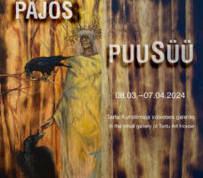 Priit Pajos Tartu Kunstimajas
