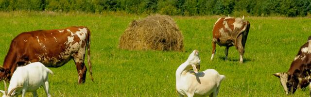 Päevahoroskoop : kolmapäev, 30. juuli