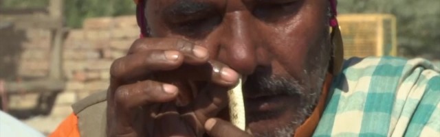 Reporter: Maotaltsutajatel koroona tõttu taskud tühjad