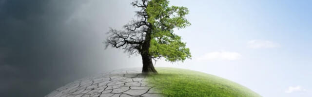 Kas kliimaneutraalse “teaduse“ eesmärgid on saavutatavad