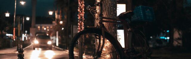 Jalgrattasõidu võlu – looduse avastamine kahel rattal