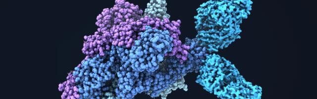 Dutch biotech CryoCloud raises €2M to enhance machine learning for drug discovery