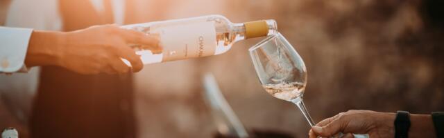 Volite li vino? Naučnici traže vašu pomoć i nude vam ga besplatno