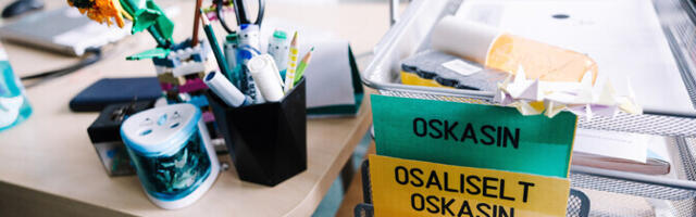 Eraõpetaja tunnihind on keskmiselt 20 kuni 29 eurot