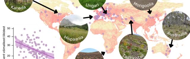 Tume elurikkus annab tunnistust üleilmsest looduse vaesumisest