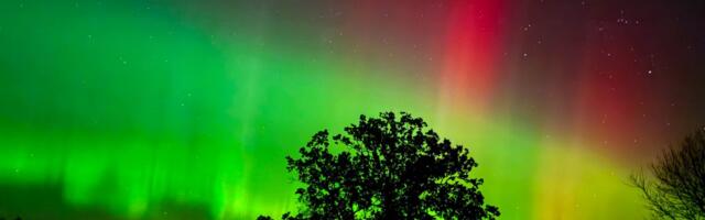 Selgusid Järva valla sünnipäevakuu fotokonkursi parimad