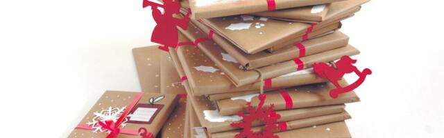 Kingikotti jõuab eriilmelisi raamatuid